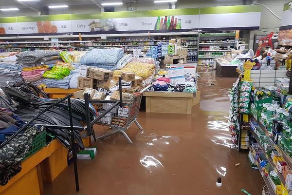 A coffee shop started selling matcha lattes with oat milk as a dairy-free option