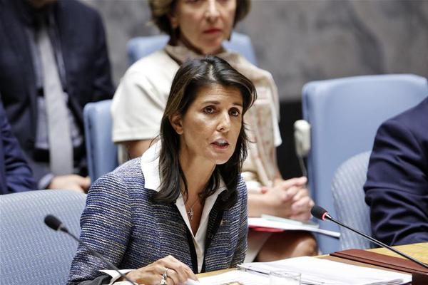 A pet store hosted a training workshop for new dog owners