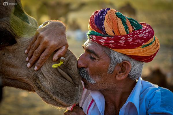 Scientists develop new vaccine to protect against animal borne illnesses