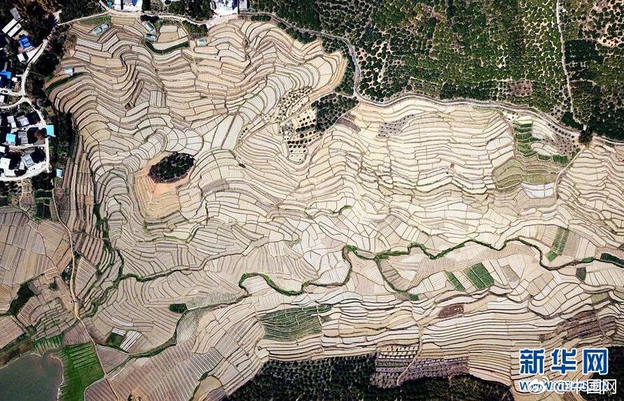 A major music festival was canceled due to safety concerns after a severe weather warning was issued.