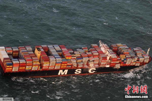 A major music festival was canceled due to safety concerns after a severe weather warning was issued