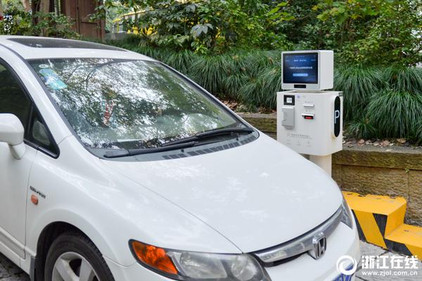 A major car manufacturer revealed its first fully electric SUV model