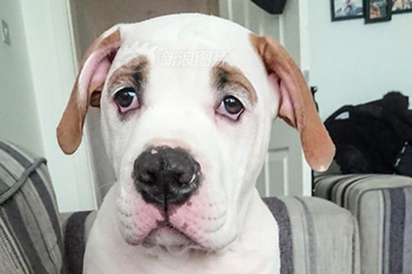 Local police seized over $1.3 million worth of illegal drugs during a raid on a suspected trafficking ring