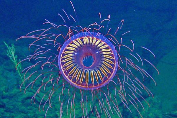 A new photography exhibition displayed images of wildlife from around the world