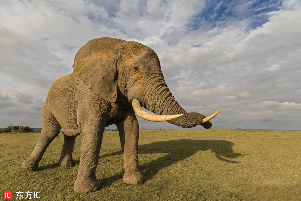 A research study found that eating nuts can reduce the risk of certain diseases