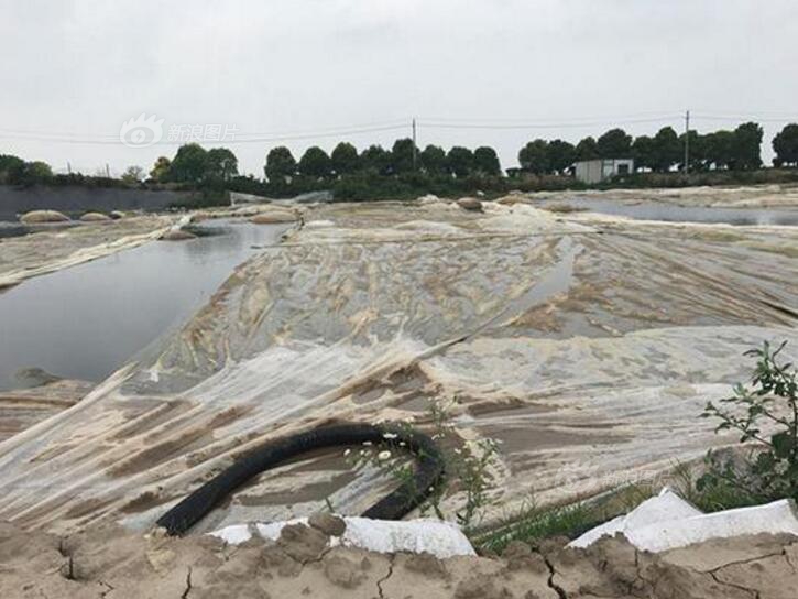 A café hosted a live music night featuring local musicians every Friday evening