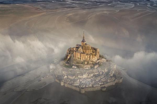 A national park reported an increase in the number of endangered species spotted this year