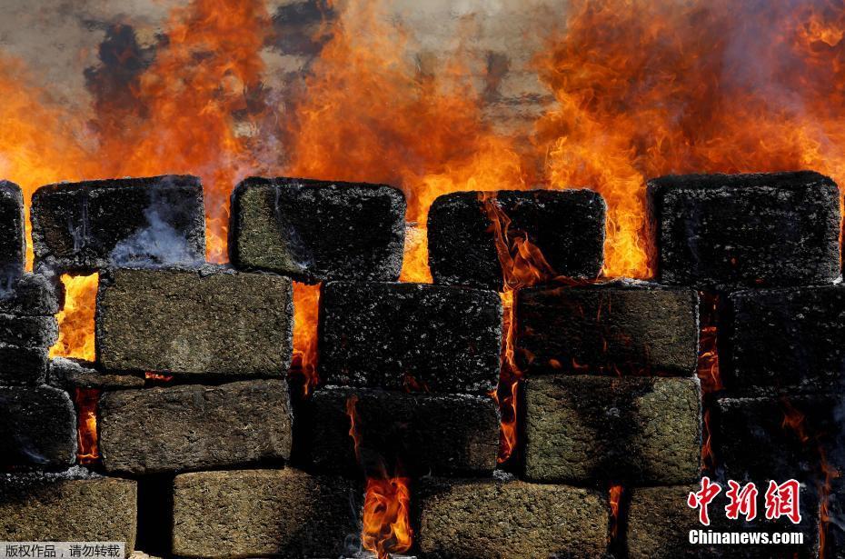 Scientists developed a new way to recycle plastic waste into useful materials