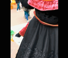 A scientist discovered a new species of plant in a remote rainforest that has potential medicinal properties