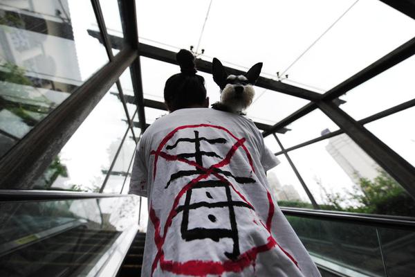 A wildlife sanctuary rescued 15 injured birds after a severe storm passed through the area