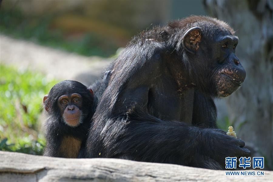 A museum hosted a pottery workshop for adults, led by a local ceramic artist