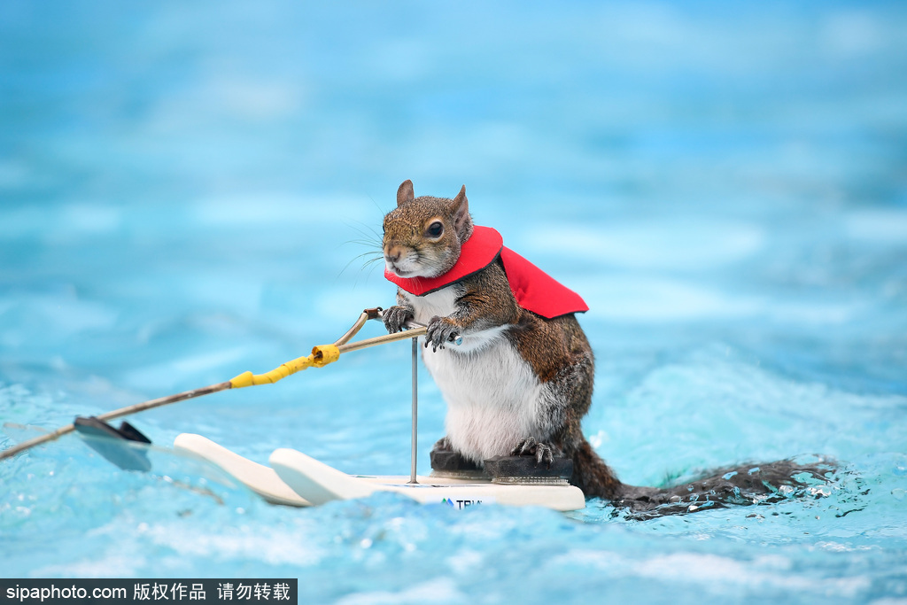 A fashion brand launched a new line of activewear designed for plus-size women