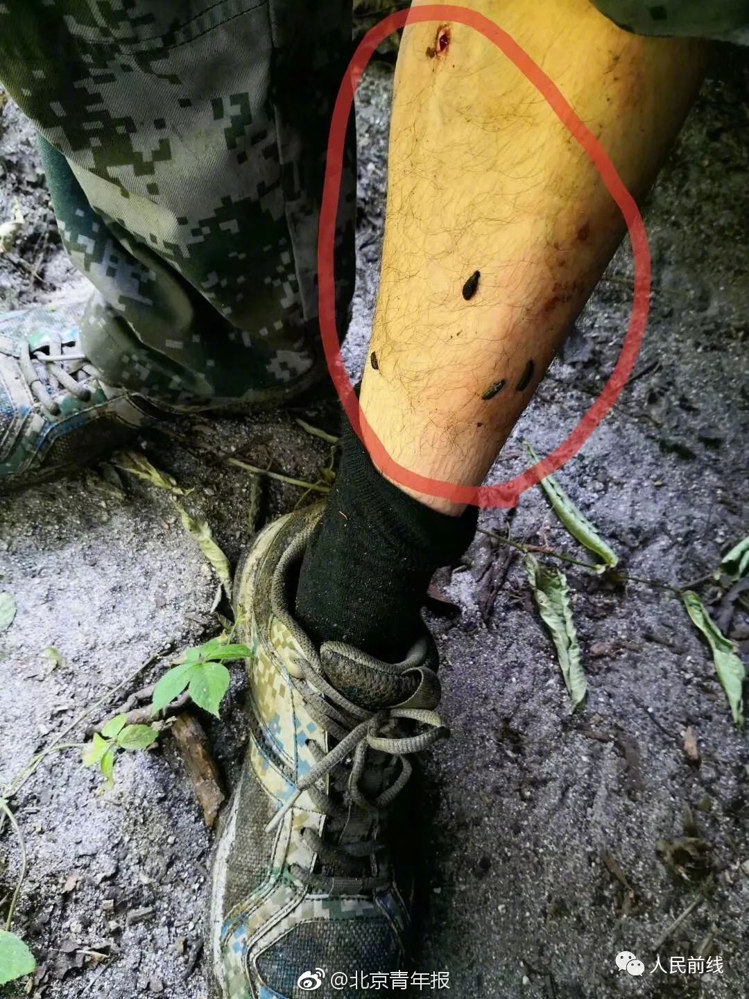 A school started a gardening club that grew vegetables for the school cafeteria’s salad bar