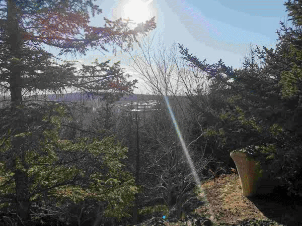 A hotel chain announced it will install electric vehicle charging stations at all locations