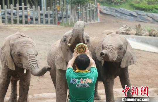 A supermarket chain started selling “imperfect” fruits and vegetables at discounted prices