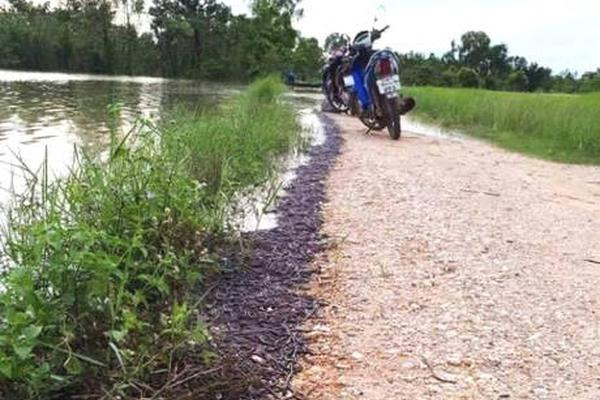 A golfer won a tournament by two strokes after a final round of exceptional play