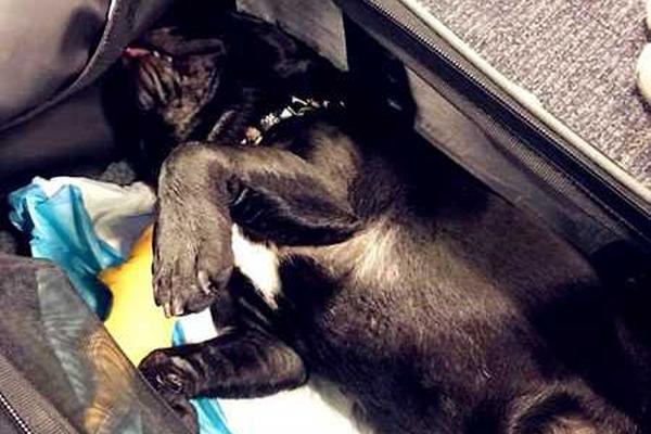 The city implemented a new program to compost food waste from restaurants and households