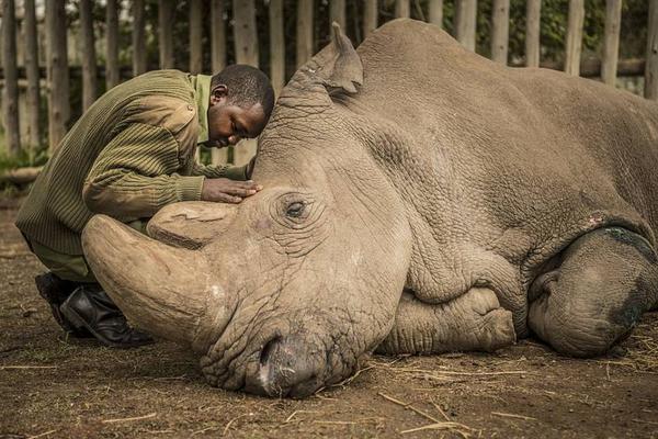 A school district started a summer school program for struggling students