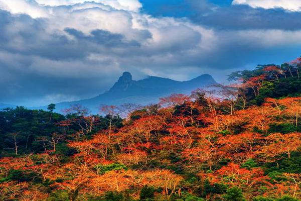 A school district hired more teachers