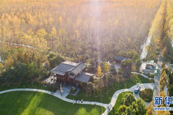 A popular restaurant chain announced plans to open 50 new locations across the country, creating over 1,000 new jobs.