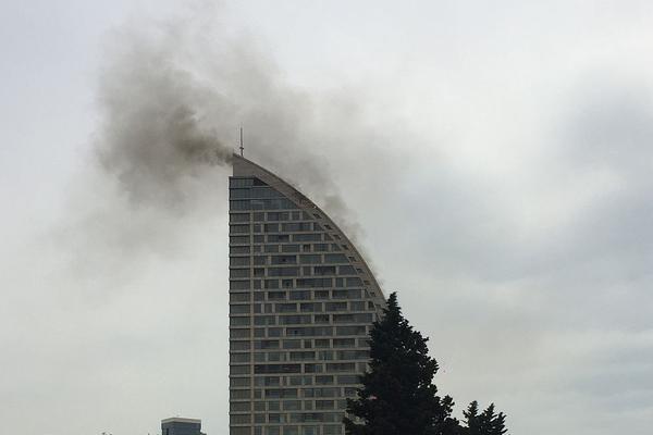 International teams are working together to address climate change