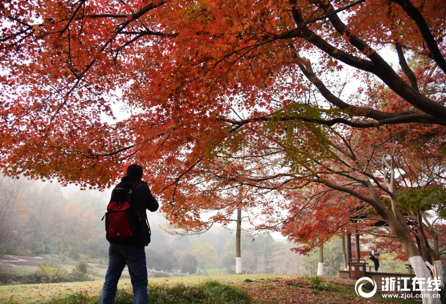 The national basketball team won the regional championship securing a spot in the upcoming international tournament