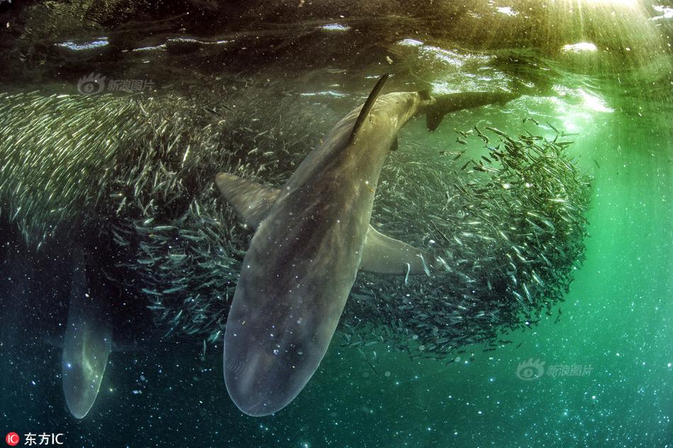 The government announced plans to improve access to healthcare in rural areas