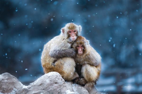 Researchers found that reading to young children every day improves their language skills by age five