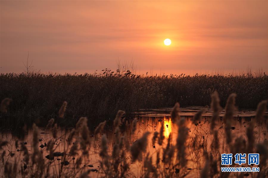 Weather experts reported that this year’s spring has been the wettest in 50 years