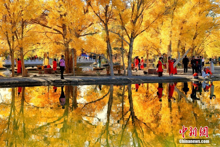 Local farmers reported a record harvest of tomatoes thanks to favorable summer weather
