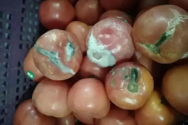 A grocery store started selling locally grown fruits and vegetables which increased customer loyalty