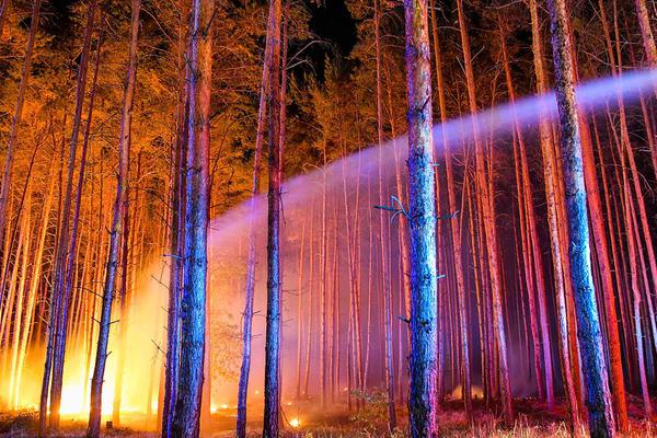 A fire department responded to a wildfire in a nearby forest and helped contain it before it reached residential areas