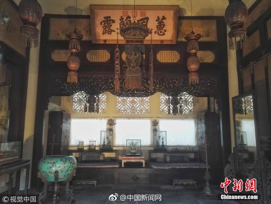 A university research team discovered a new species of insect in a tropical rainforest