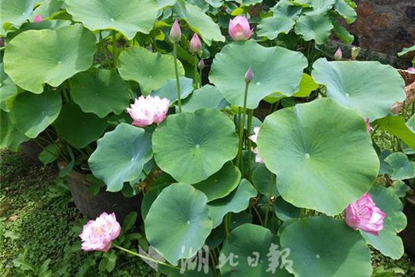 The national park service announced plans to build new campgrounds in a popular national park