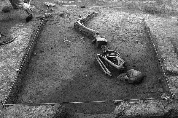 A major airline added new entertainment options on its flights