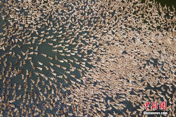 A major tech company released its latest smartphone model