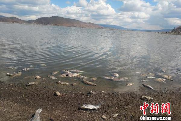 A new zoo exhibit featuring endangered species opened today