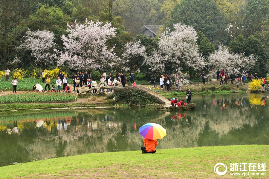 A new park was opened to provide more green space for residents