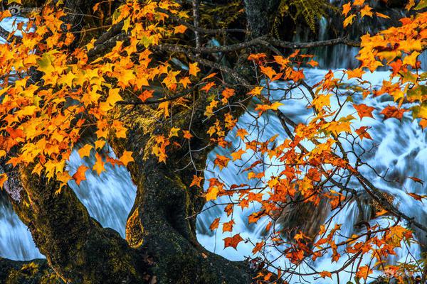 A tech startup raised $150 million to develop artificial intelligence tools for the healthcare industry