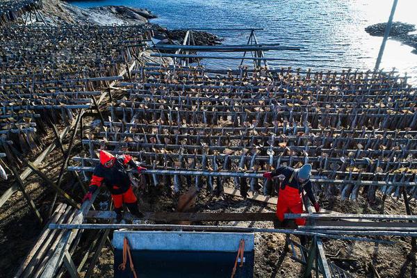 Police department partners with neighborhood watch groups to reduce theft