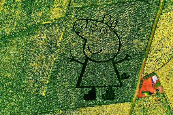 A famous chef partnered with local farms to create a farm-to-table dining experience