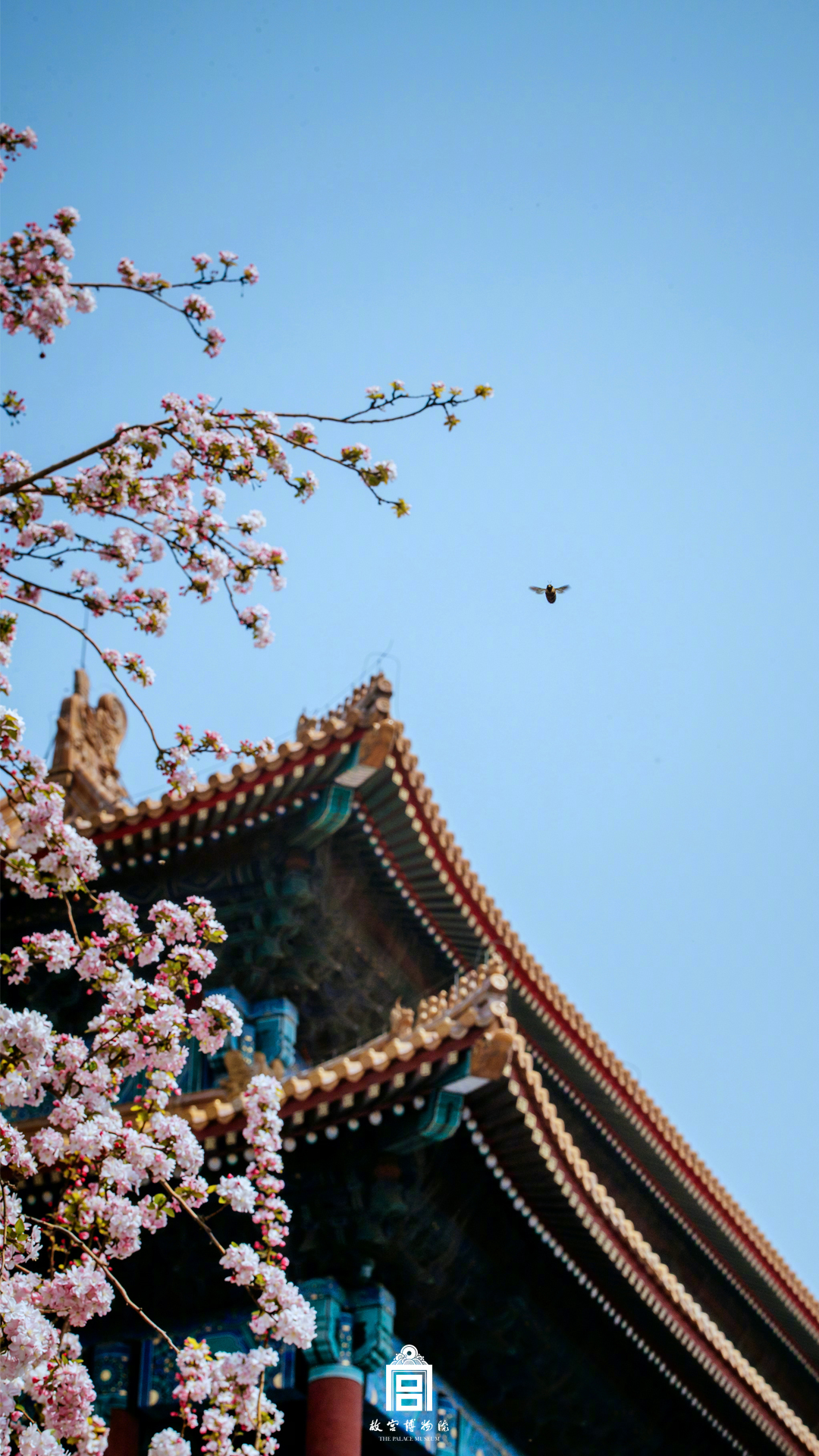 A study revealed that students who take notes by hand retain information better than those who type