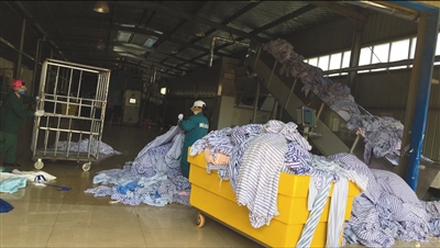 The government released data showing a 4.2% increase in exports during the last quarter