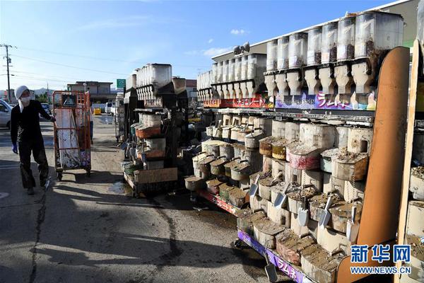 Scientists identified a new species of orchid in the mountains of Costa Rica