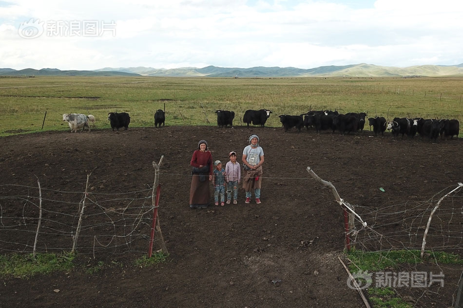 Art museum hosts first-ever exhibition of digital art by indigenous artists