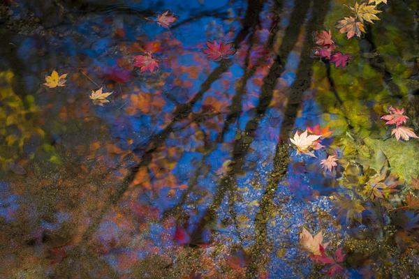 Doctors reported an increase in the number of patients with respiratory problems