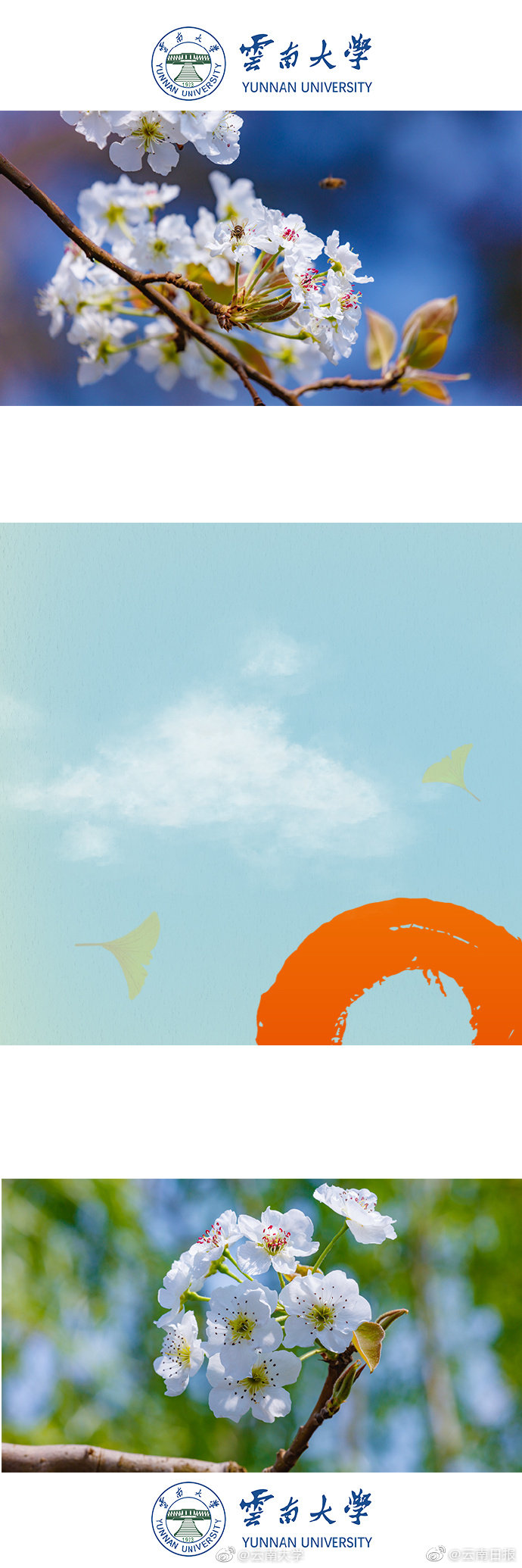 Researchers found that spending time in forests can improve respiratory health