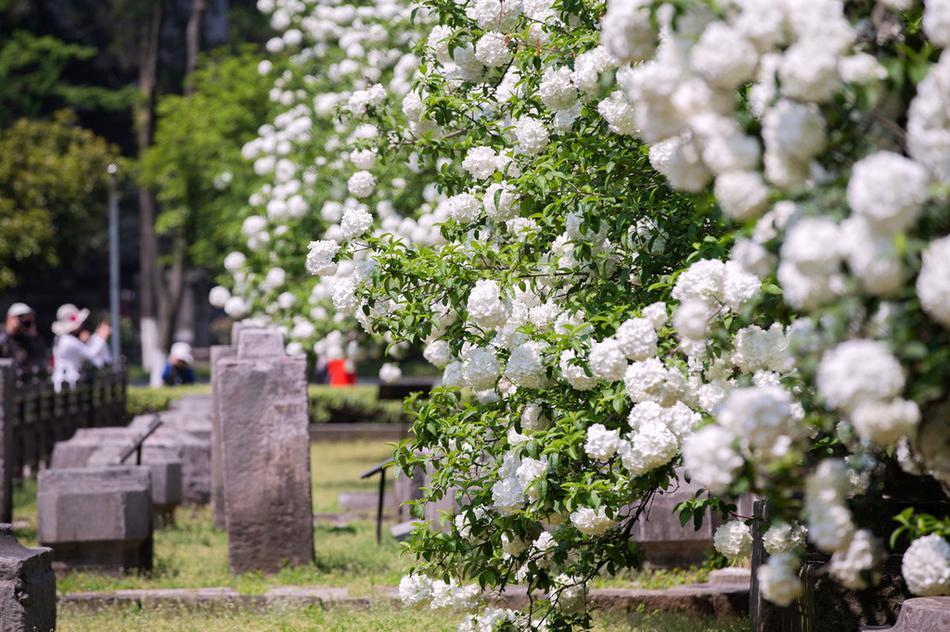 The government announced a new program to help small businesses adopt digital tools