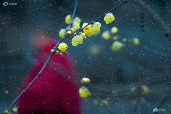 A study showed that spending time with friends can reduce stress levels