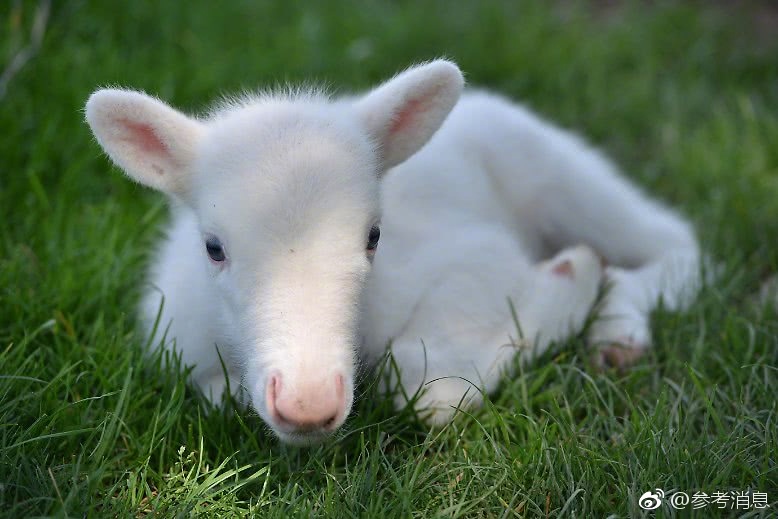 A national forest opened a new campground with facilities for RVs and tent camping
